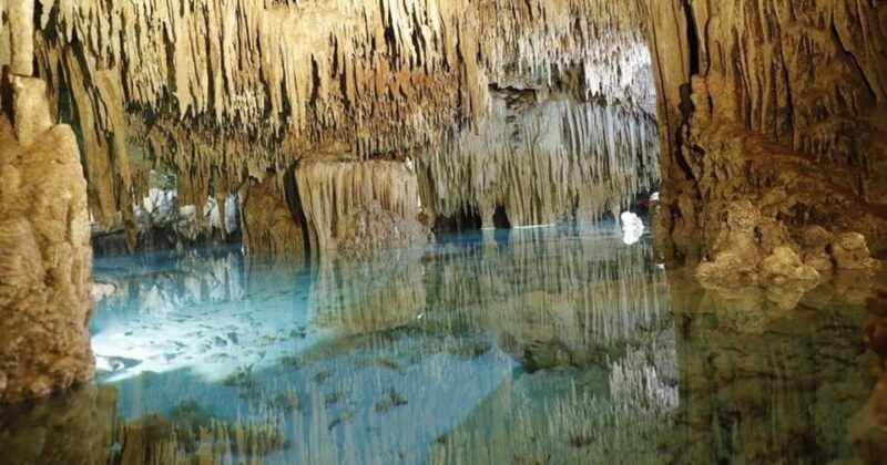 Cenote Paradise Lagoon - Practical Tips for Your Trip