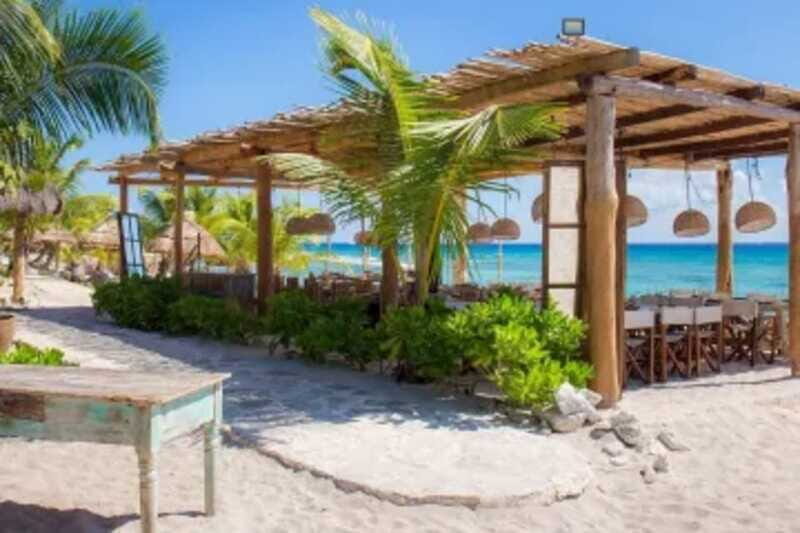 Cenotes, Turtles and Beach club - The Sum Up