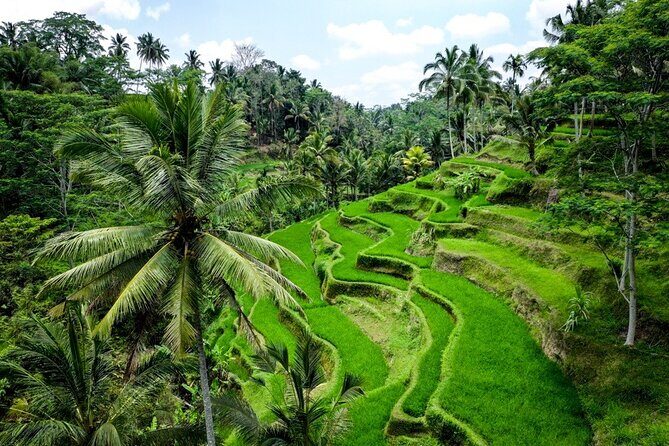 Central Bali Tour: Ubud Village, Kintamani Volcano, and Waterfall - Final Thoughts