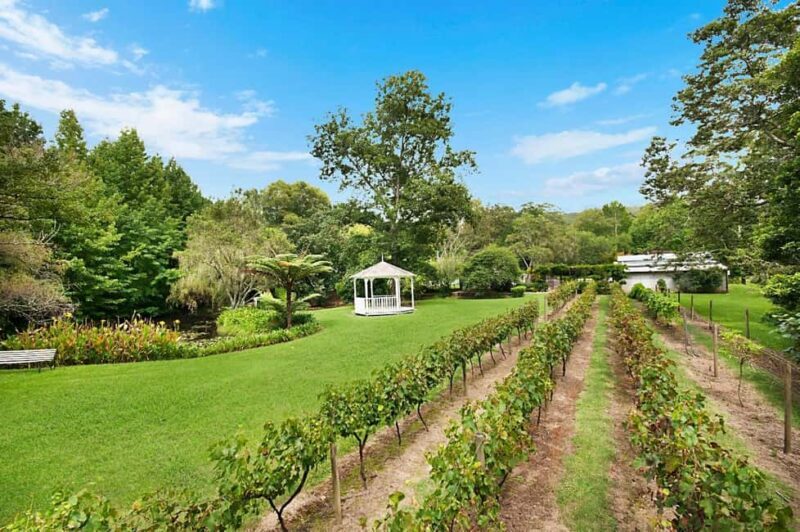 Central Coast NSW: The Winemakers Secret Garden Tour - Who Will Love This Tour?