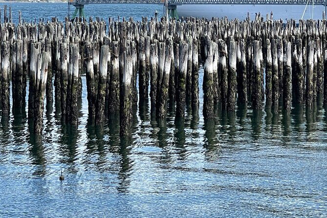 central-coastal-maine-private-day-tour