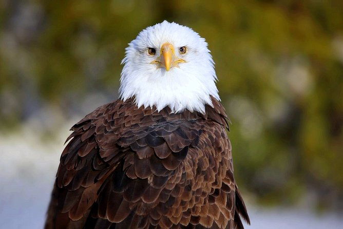 central-florida-everglades-airboat-tour-from-orlando