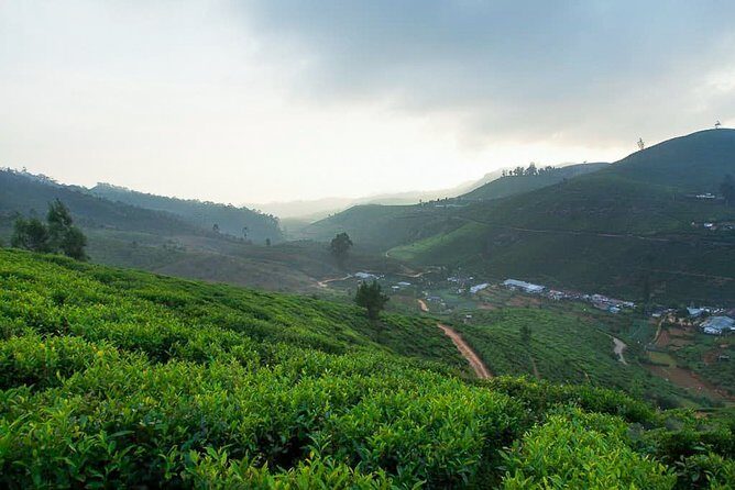 Central Highlands Peak Point from Kandy - The Sum Up