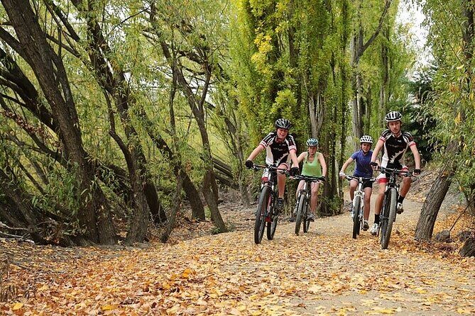 Central Otago River Loop Trail on E Bike - Key Points
