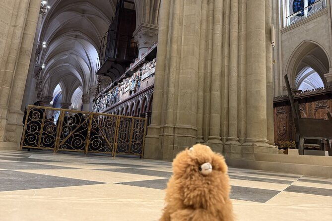 central-paris-private-guided-walking-tour-with-notre-dame-visit