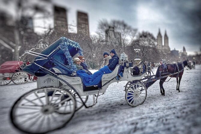 central-park-and-nyc-horse-carriage-ride