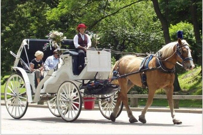 central-park-and-nyc-horse-carriage-ride