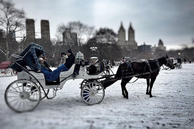 central-park-and-nyc-horse-carriage-ride