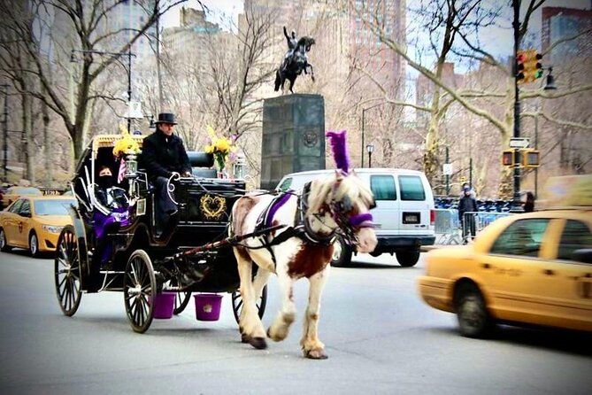 central-park-and-nyc-horse-carriage-ride