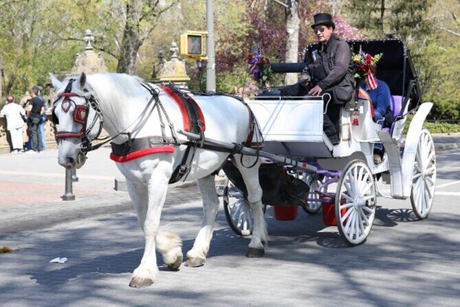 Central Park and NYC Private Horse Carriage Ride - An Introduction to the Central Park Horse Carriage Ride