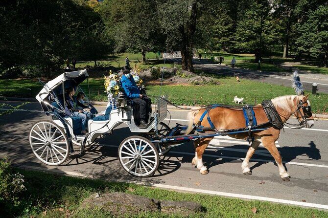 Central Park and NYC Private Horse Carriage Ride - The Experience: Comfort & Practicalities