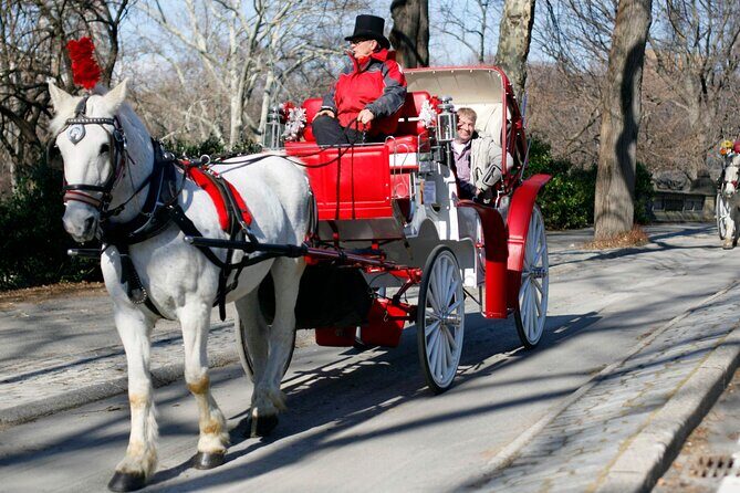 Central Park and NYC Private Horse Carriage Ride - Authentic Experiences & Real Traveler Feedback