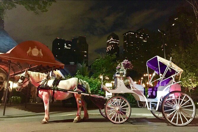 Central Park and NYC Private Horse Carriage Ride - Who Will Love This Tour?
