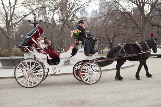 Central Park and NYC Private Horse Carriage Ride - The Sum Up: Is It Worth It?