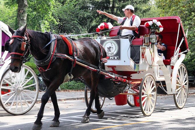 central-park-carriage-ride-w-drop-off-tavern-on-green-45-min