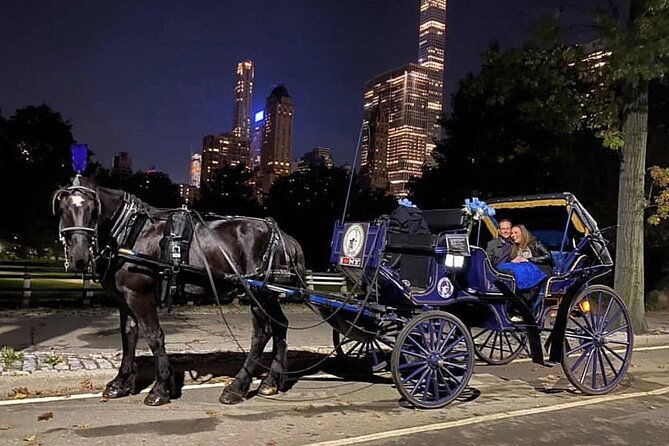 central-park-carriage-ride-w-drop-off-tavern-on-green-45-min
