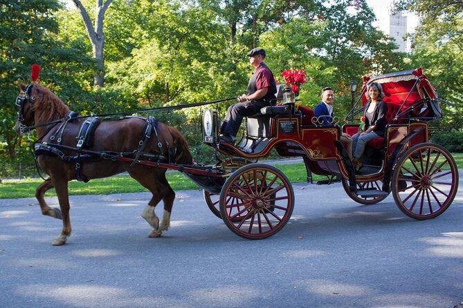 central-park-carriage-ride-w-drop-off-tavern-on-green-45-min