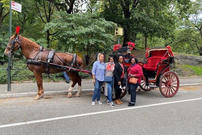 central-park-carriage-ride-w-drop-off-tavern-on-green-45-min