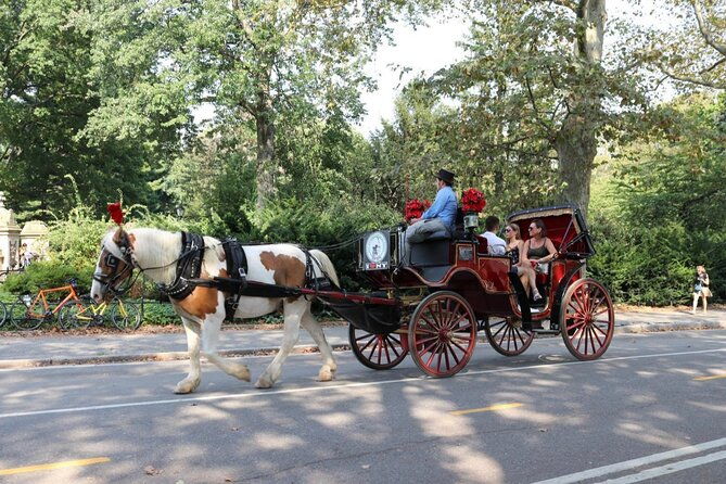 central-park-carriage-ride-w-drop-off-tavern-on-green-45-min