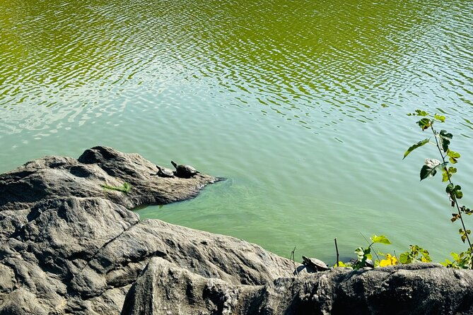 central-park-guided-pedicab-tour-in-new-york