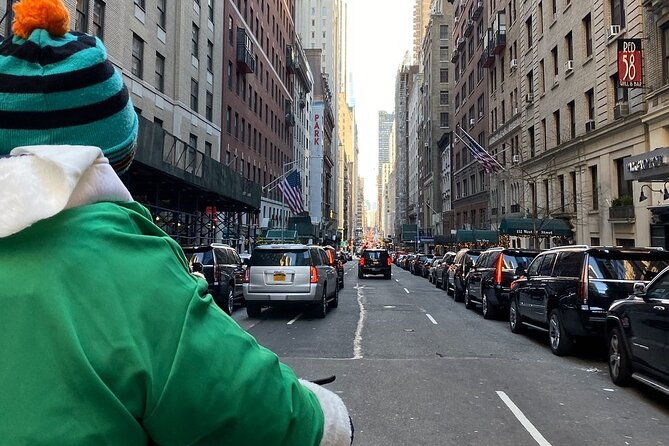 central-park-guided-pedicab-tours