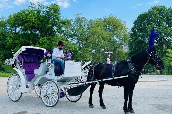 central-park-horse-and-carriage-rides-2