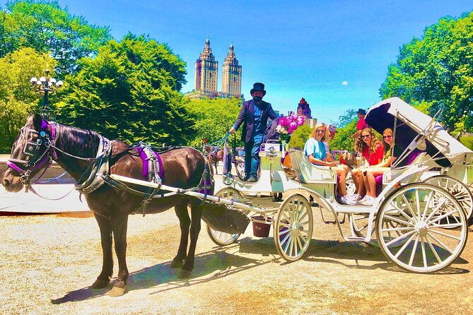 central-park-horse-and-carriage-rides-2