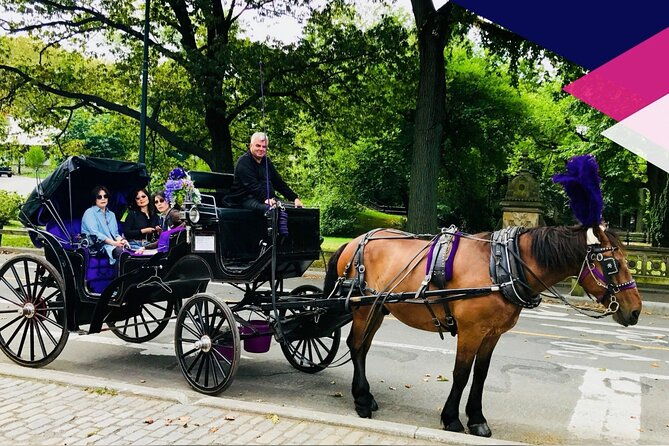 central-park-horse-and-carriage-rides-2