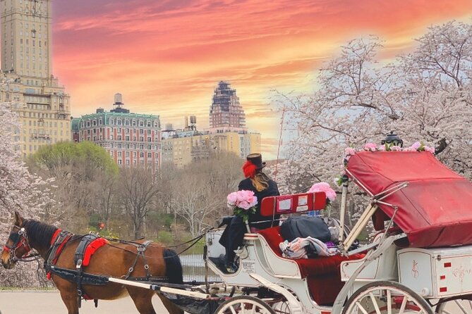 central-park-horse-and-carriage-rides-2