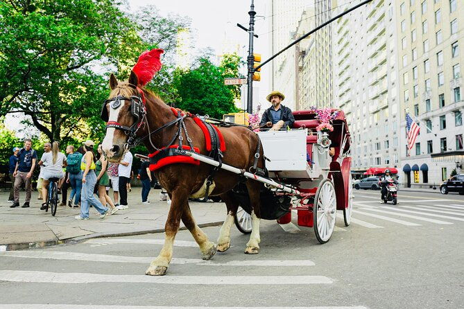 central-park-horse-and-carriage-rides