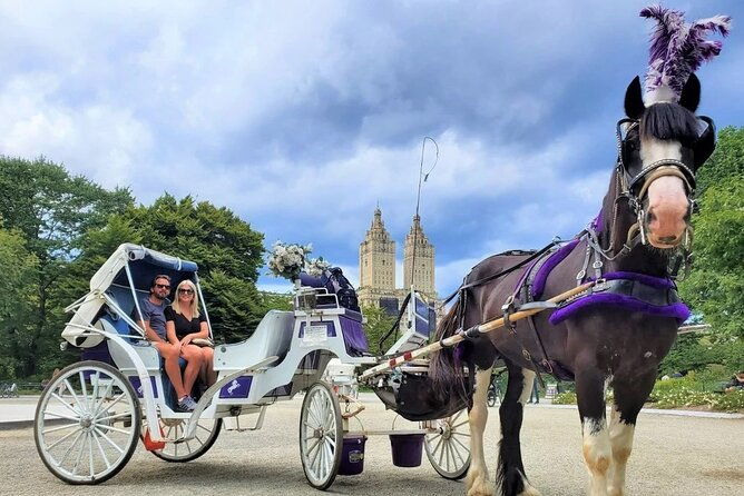 central-park-horse-and-carriage-rides