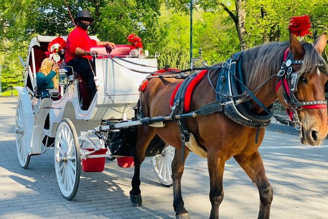central-park-horse-and-carriage-rides