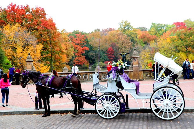 central-park-horse-carriage-ride-short-loop-up-to-4-adults