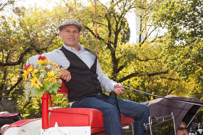 central-park-horse-carriage-ride-short-loop-up-to-4-adults