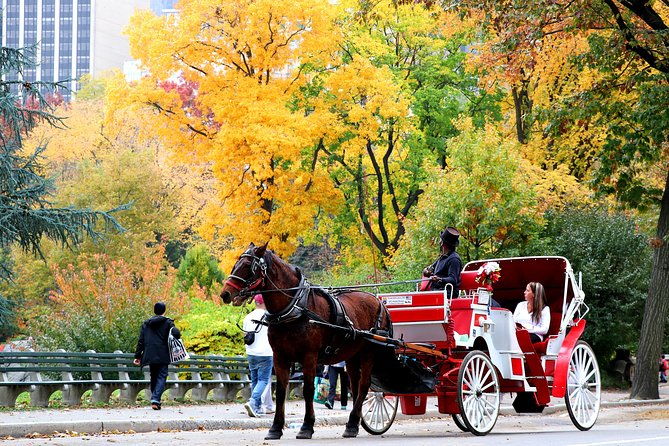 central-park-horse-carriage-ride-short-loop-up-to-4-adults