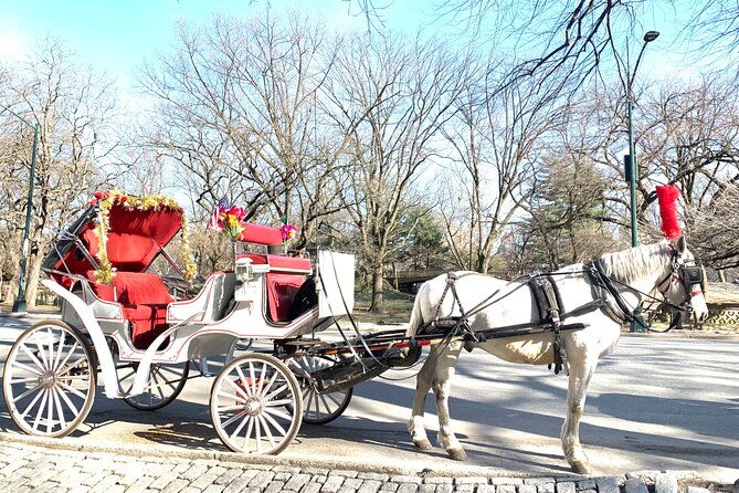 central-park-horse-carriage-rides-since-2005