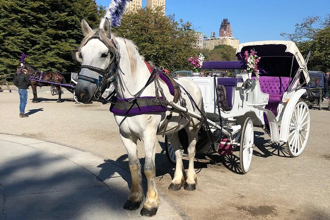 central-park-horse-carriage-rides-since-2005