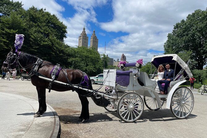 central-park-horse-carriage-rides-since-2005
