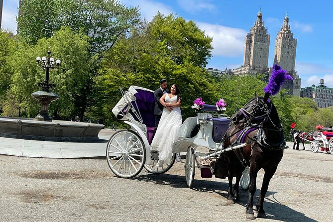 central-park-horse-carriage-rides-since-2005