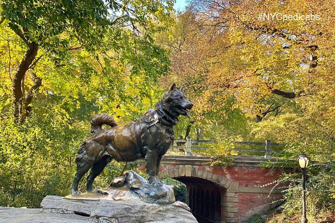 central-park-pedicab-rickshaw-tours