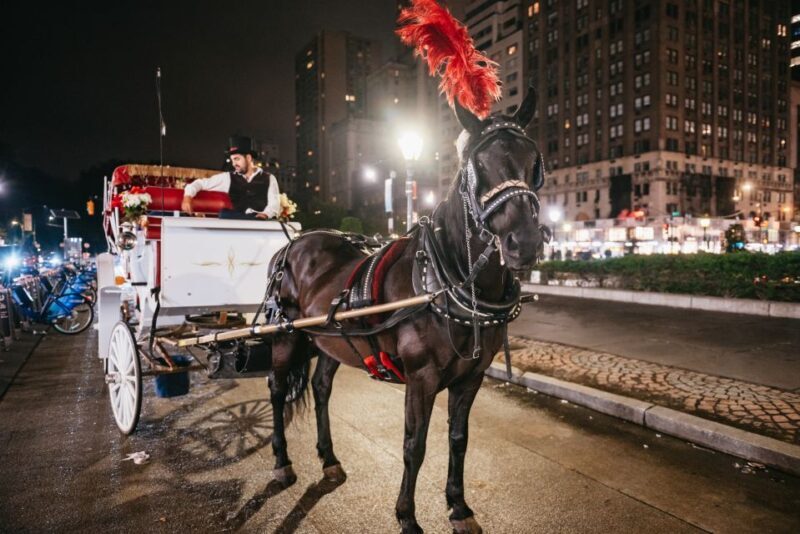 Central Park, Rockefeller & Times Carriage Ride (4 Adults) - Final Thoughts: Who Will Love This Tour?