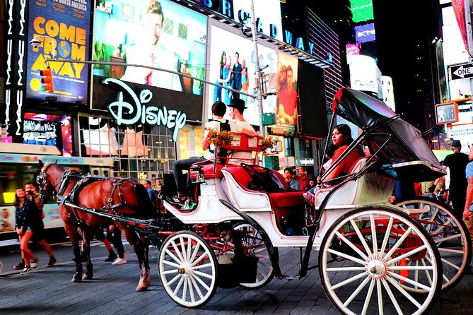 central-park-rockefeller-times-square-carriage-ride-4-adults-2