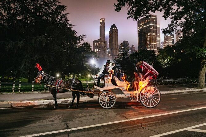 central-park-rockefeller-times-square-carriage-ride-4-adults-2