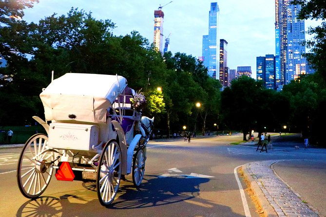 central-park-rockefeller-times-square-carriage-ride-4-adults-2