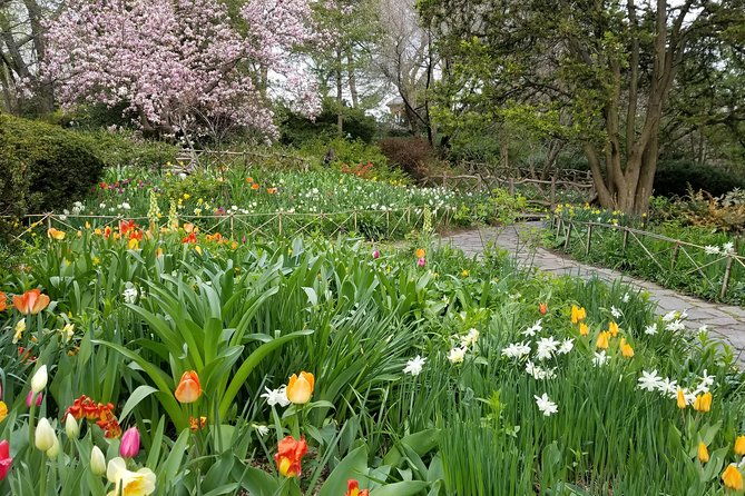 central-park-secrets-and-highlights