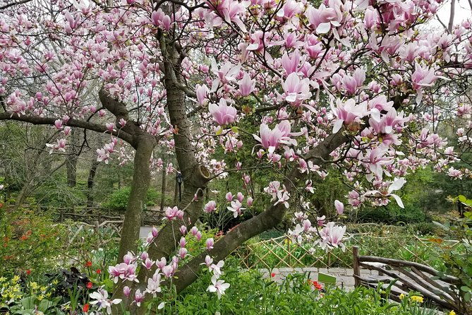 central-park-secrets-and-highlights