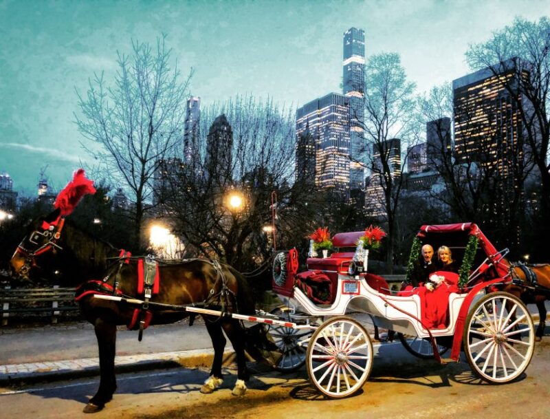 central-park-short-horse-carriage-ride-up-to-4-adults