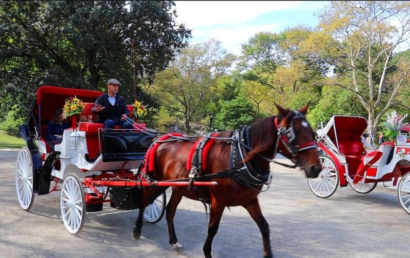 central-park-short-horse-carriage-ride-up-to-4-adults