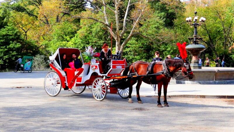 central-park-short-horse-carriage-ride-up-to-4-adults