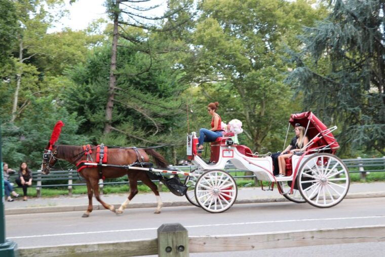 central-park-short-horse-carriage-ride-up-to-4-adults